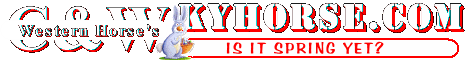 Kyhorse.com is the new choice for both hobby and professional horseman. Based in the Bluegrass Thoroughbred region of Kentucky, we offer a full line of horse supplies and tack items at discount prices.