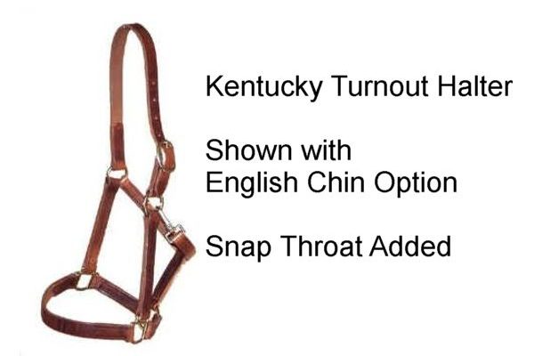 Kentucky Anatomic Leather Halter - Lowest price guarantee